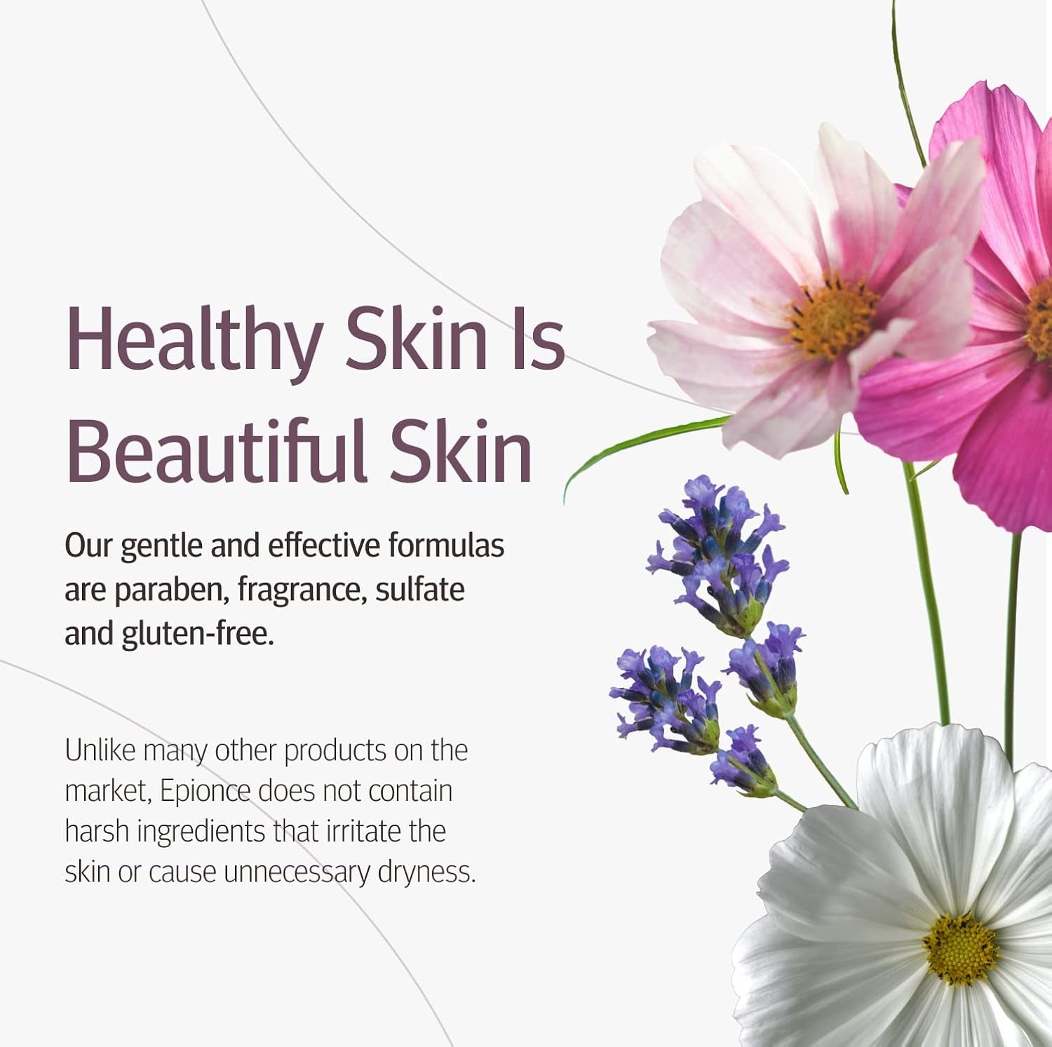 Renewal Facial Lotion - Face Moisturizer for Women & Men, Face Lotion, Glycerin, Olive Oil & Avocado Oil Facial Moisturizer for Normal Skin