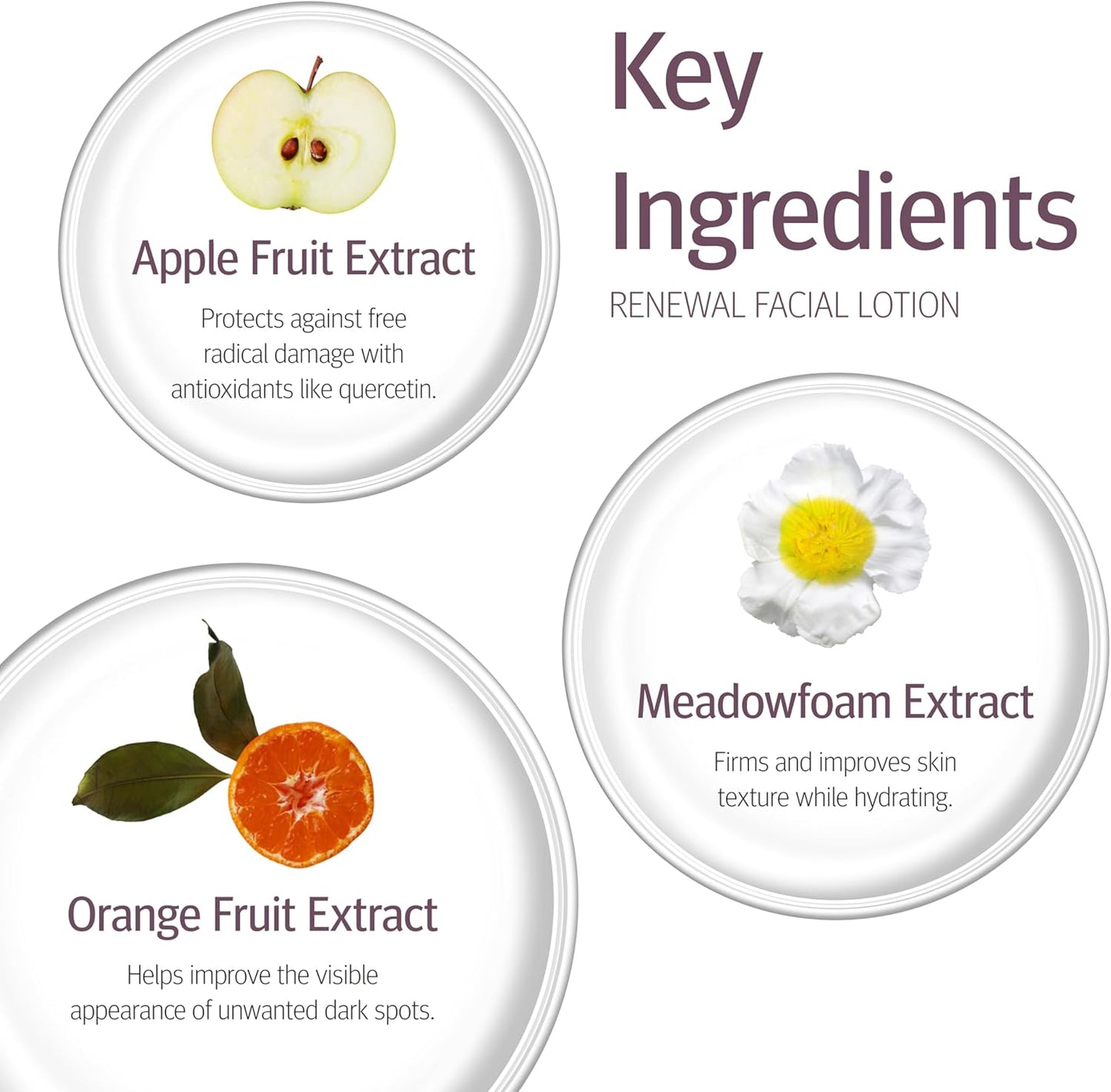 Renewal Facial Lotion - Face Moisturizer for Women & Men, Face Lotion, Glycerin, Olive Oil & Avocado Oil Facial Moisturizer for Normal Skin